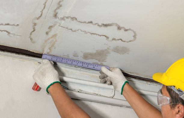 Reliable Mold Remediation contractor in Russell, KS by Water Damage Irwin